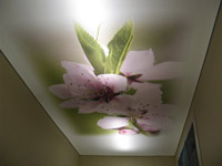 Натяжной потолок с рисунком