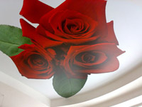 Натяжной потолок с рисунком